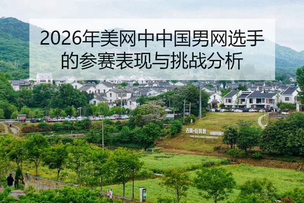 nian-mei-wang-zhong-zhong-guo-nan-wang-xuan-shou-de-can-sai-biao-xian-yu-tiao-zhan-fen-xi-2-212.jpg