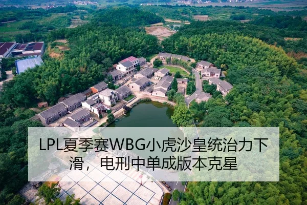 LPL夏季赛WBG小虎沙皇统治力下滑，电刑中单成版本克星