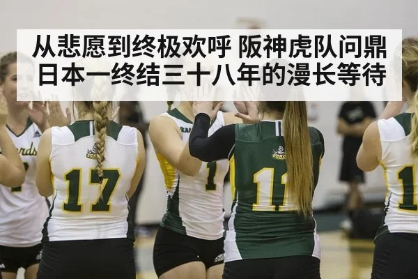 从悲愿到终极欢呼 阪神虎队问鼎日本一终结三十八年的漫长等待