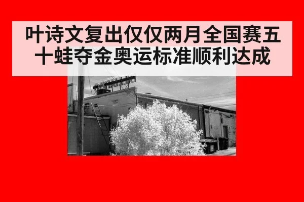 叶诗文复出仅仅两月全国赛五十蛙夺金奥运标准顺利达成
