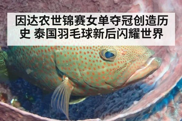 因达农世锦赛女单夺冠创造历史 泰国羽毛球新后闪耀世界